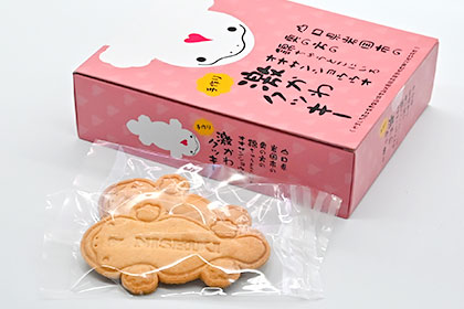 山口県岩国市の奥の方の錦ちゅうとこにいるオオサンショウウオ手作り激かわクッキー